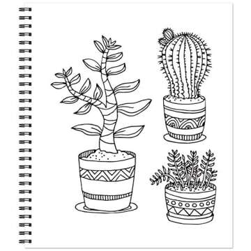 Color & Frame - Painted Deserts (Adult Coloring Book)