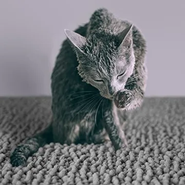 CatGuru Litter Mat - Waterproof & Machine Washable