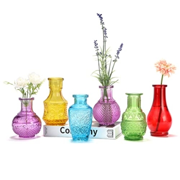 Colorful Glass Single Bud Vases Set of 6,BIGIVACA Vintage Bud Vases in Bulk,Small Colored Embossed F...