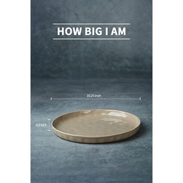 Famiware Mars Dinner Plates Set - Durable & Stylish