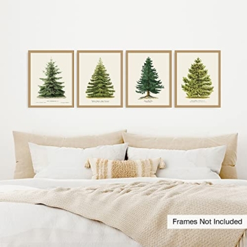 Goldie Days 4 Pine Tree Prints for Christmas Decor