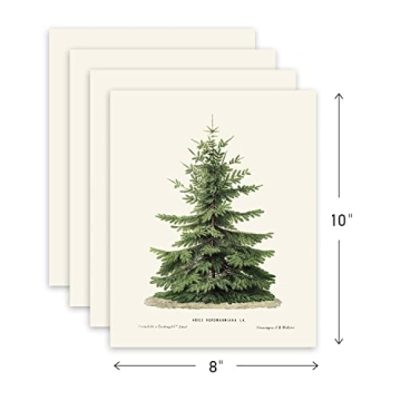 Goldie Days 4 Pine Tree Prints for Christmas Decor