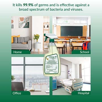 Effective Citrus II Germicidal Cleaner for a Fresh Home