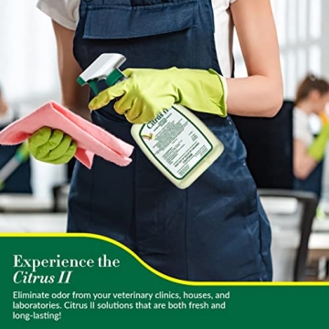 Effective Citrus II Germicidal Cleaner for a Fresh Home