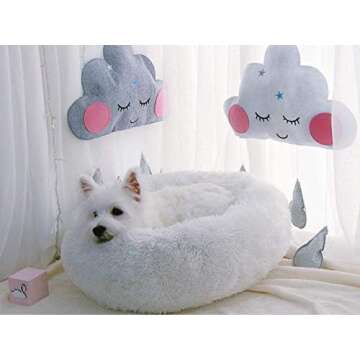 BODISEINT Modern Soft Plush Round Pet Bed for Cats or Small Dogs, Mini Medium Sized Dog Cat Bed Self Warming Autumn Winter Indoor Snooze Sleeping Cozy Kitty Teddy Kennel (24'' D x 8'' H, White)
