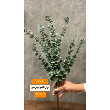 اکالیپتوس چرمی مصنوعی – شاخه واقع‌نما 45–60cm، فرم‌پذی?...
