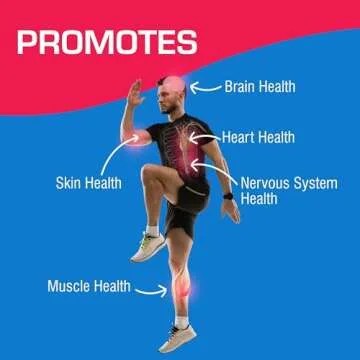 Vitamin B12, Turmeric Curcumin, and Magnesium Supplement - 40 Tablets for Muscle and Nerve Health with Choline, Niacin, and More - Neuro Ease