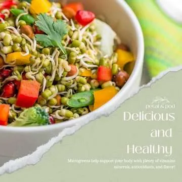 Petal & Pod Microgreens & Sprouting Seeds - Broccoli, Alfalfa, Radish, Mung Bean & Salad Mix Variety Pack for MicroGreens Growing Kit and Sprouting Jars