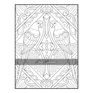 100 Amazing Patterns Adult Coloring Book for Relaxation