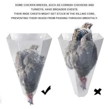 Holdly Medium Size Chicken Cone Galvanized Steel Poultry Restraining Cone for Chicken,for Large Layers, Broilers, Roasters, Turkeys Up to 8 Pounds Flat-Back Poultry Killing Cone Easy to Clean