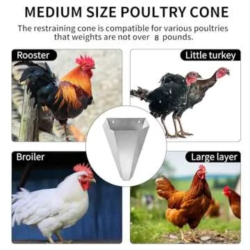 Holdly Medium Size Chicken Cone Galvanized Steel Poultry Restraining Cone for Chicken,for Large Layers, Broilers, Roasters, Turkeys Up to 8 Pounds Flat-Back Poultry Killing Cone Easy to Clean