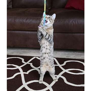 CAT DANCER-Cat Charmer Wand,Teaser-Cat & Kitten Toy! Color:Rainbow Size:Pack of 3
