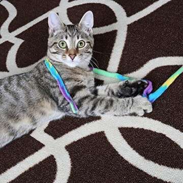 CAT DANCER-Cat Charmer Wand,Teaser-Cat & Kitten Toy! Color:Rainbow Size:Pack of 3