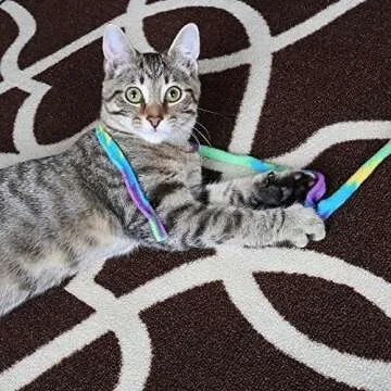 CAT DANCER-Cat Charmer Wand,Teaser-Cat & Kitten Toy! Color:Rainbow Size:Pack of 3