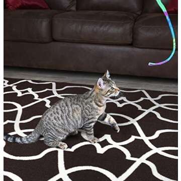 CAT DANCER-Cat Charmer Wand,Teaser-Cat & Kitten Toy! Color:Rainbow Size:Pack of 3
