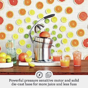 Breville 800CPXL Citrus Press Pro Juicer