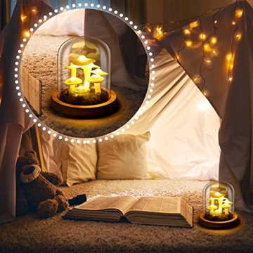 Mushroom LED Night Light in Glass Dome for Decor