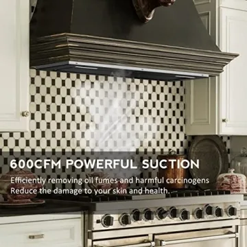 FIREGAS 30 Inch Range Hood Insert with Gesture Control