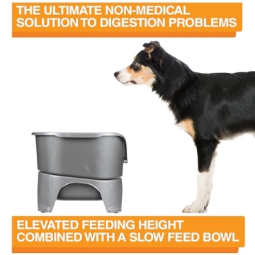 Neater Feeder - Express Dog Bowl with Slow Feed Design for Mess-Free Dining