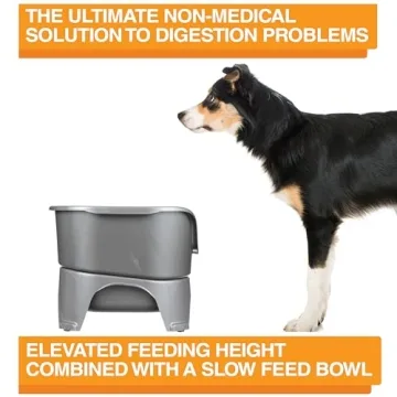 Neater Feeder - Express Dog Bowl with Slow Feed Design for Mess-Free Dining
