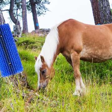 Hehoroo Livestock Scratch Brushes - Livestock Anti-itch Tool, Horse Brushes, Relieve Back Itching in Livestock, Appropriate for Horse, Cattle, Pig, Sheep(Blue)