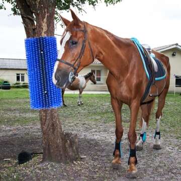Hehoroo Livestock Scratch Brushes - Livestock Anti-itch Tool, Horse Brushes, Relieve Back Itching in Livestock, Appropriate for Horse, Cattle, Pig, Sheep(Blue)