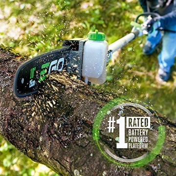 EGO Power+ 10-Inch Pole Saw Attachment for Lawn Care