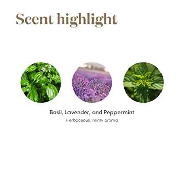 Young Living M-Grain Essential Oil Blend 15ml - Soothing & Relaxing Aroma that Pairs Beautifully with Head and Neck Massage, Add to Daily Ritual