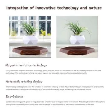 MOOCCI Floating Plant Pot Magnetic Levitating Plant Pot for Succulents, Air Bonsai and Fake Flowers and Plants, Unique Decor for Home, Office and Desk (Brown)