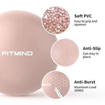 FITMIND Pilates Ball 10 Inches Small Exercise Ball,Core Ball with Inflation Straw, Barre Ball,Bender Ball for Yoga, Stability, Fitness, Ab, Core,Workout,Physical Therapy-Pink
