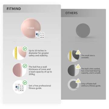 FITMIND Pilates Ball 10 Inches Small Exercise Ball,Core Ball with Inflation Straw, Barre Ball,Bender Ball for Yoga, Stability, Fitness, Ab, Core,Workout,Physical Therapy-Pink