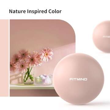 FITMIND Pilates Ball 10 Inches Small Exercise Ball,Core Ball with Inflation Straw, Barre Ball,Bender Ball for Yoga, Stability, Fitness, Ab, Core,Workout,Physical Therapy-Pink