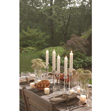 Root Timberline Collenette Dinner Candles Set of 4 7 Inch