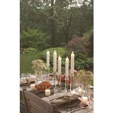 Root Timberline Collenette Dinner Candles Set of 4 7 Inch