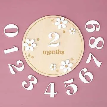 Wooden Boho Daisy Flower Milestone Cards - 1-12 Months Interchangeable Milestone Card Decor,Baby Party Photo Prop，Full Moon Background Decoration Props. (2-12 Months Daisy Flower Milestone Cards)