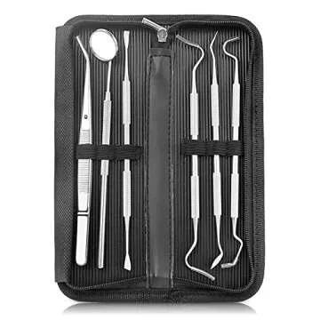 Professional Dental Tools Kit,6 PCS Teeth Cleaning Tools Set,Oral Care Kit with Tooth Pick, Dental M...