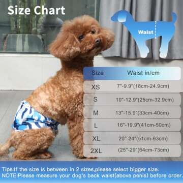 JoyDaog Reusable Dog Belly Bands for Male Dogs Diapers 5 Pack Premium Washable