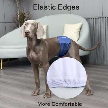 Premium JoyDaog Dog Belly Bands for Male Dogs - 5 Pack