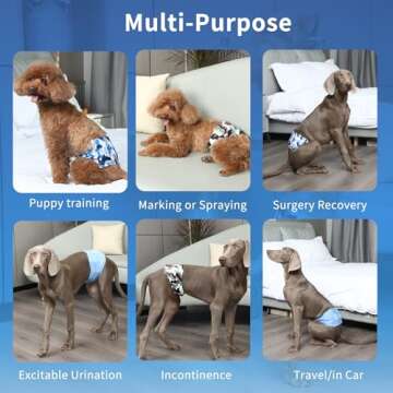 Premium JoyDaog Dog Belly Bands for Male Dogs - 5 Pack