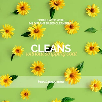 Bark2Basics High Concentrate Dog Shampoo 1 Gallon