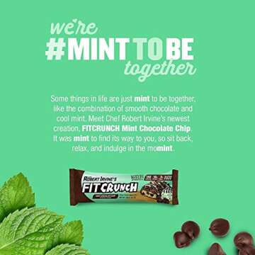 FITCRUNCH Snack Size Protein Bars, 6-Layer Baked Bar, 3g of Sugar, Gluten Free & Soft Cake Core (9 Bars, Mint Chocolate Chip)