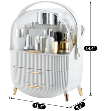 Stylish CANITORON Makeup Organizer With 2 Drawers and Clear Lid