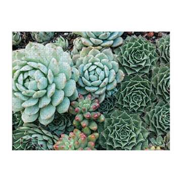 Galison Succulent Garden 500 Piece Double Sided Jigsaw Puzzle for Adults and Families, Fun Family Pu...