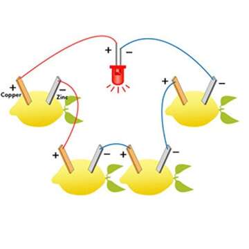 Fruit Battery Light Diode Science Kit Orange Potato Lemon Battery Physics Teaching Experiment
