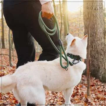 MADE TO ROAM Premium Explorer Leash for Outdoor Adventures