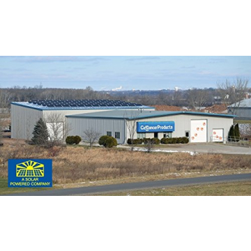 Rainbow Cat Wand Charmer - Fun, Safe Exercise Toy