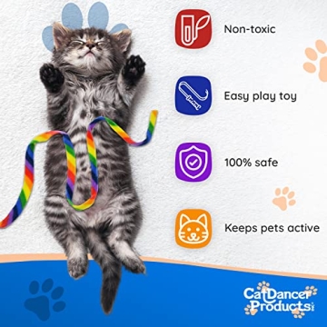 Rainbow Cat Wand Charmer - Fun, Safe Exercise Toy