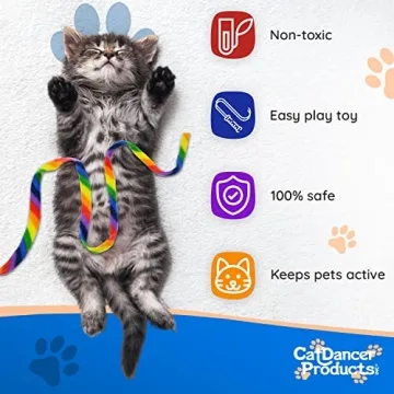 Rainbow Cat Wand Charmer - Fun, Safe Exercise Toy