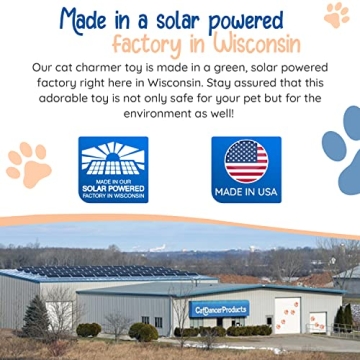 Rainbow Cat Wand Charmer - Fun, Safe Exercise Toy