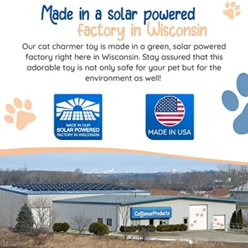 Rainbow Cat Wand Charmer - Fun, Safe Exercise Toy